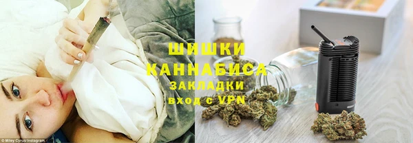 молекула духа Вязьма