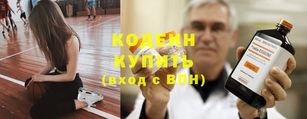 молекула духа Вязьма