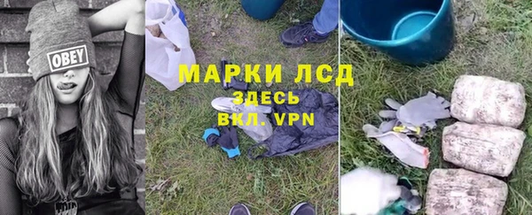 молекула духа Вязьма