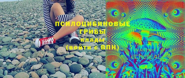 молекула духа Вязьма