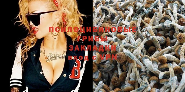 кокаин премиум Вяземский