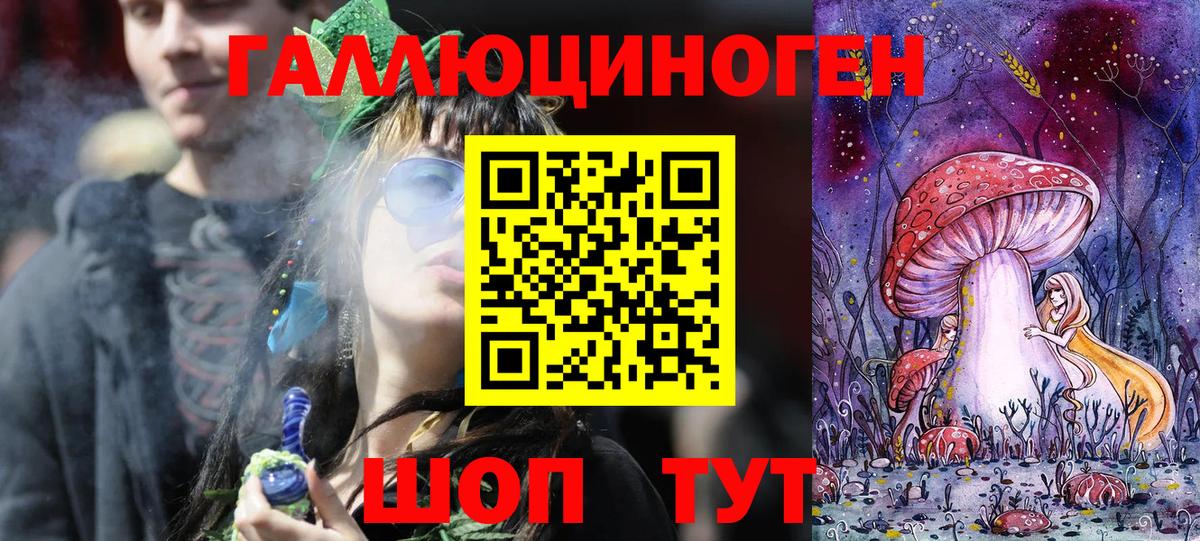 Псилоцибиновые грибы Cubensis  Маркс  Псилоцибиновые грибы MAGIC MUSHROOMS 