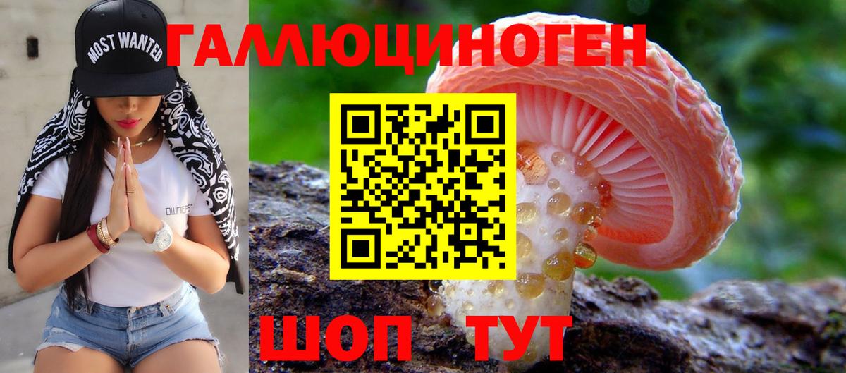 Галлюциногенные грибы мицелий Маркс