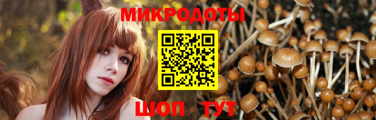 Маркс  Псилоцибиновые грибы MAGIC MUSHROOMS  Вход с VPN 